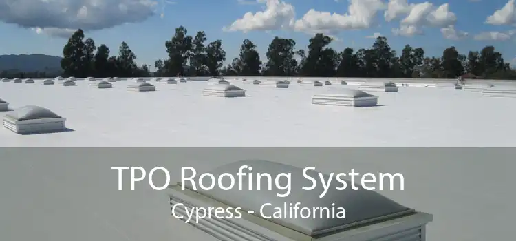 TPO Roofing System Cypress - California